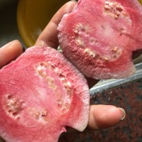 西瓜芭樂500公克