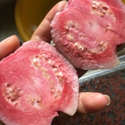 西瓜芭樂500公克