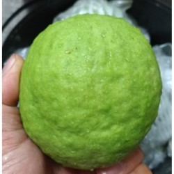 珍珠芭樂500公克